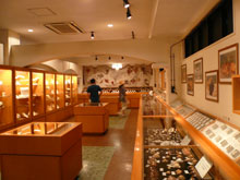 貝殻博物館